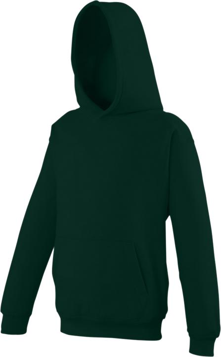 Image du produit Awdis Pull à capuche (104)