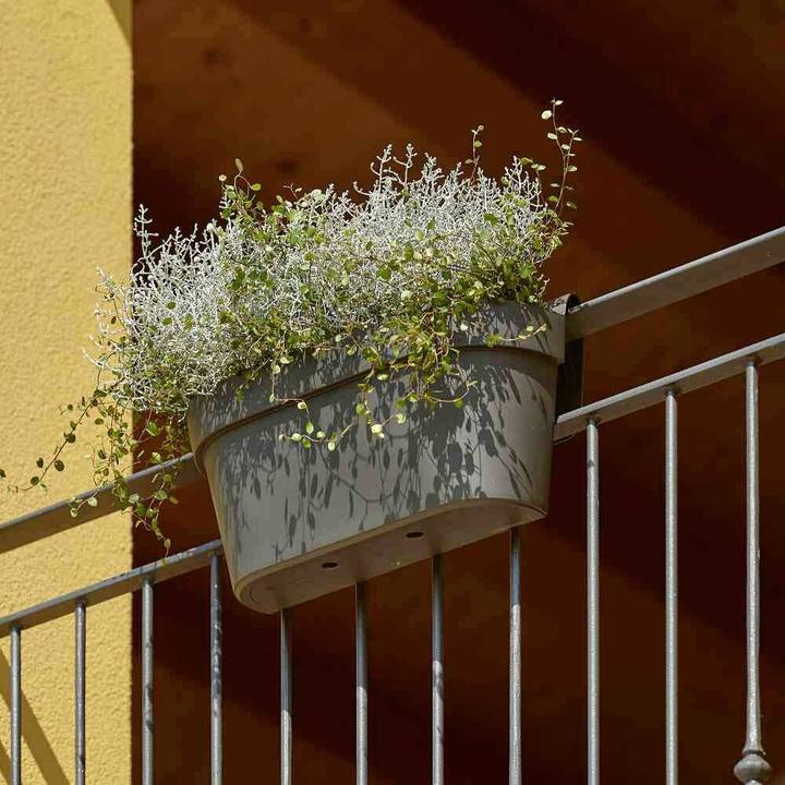 Image du produit Euro3plast Cassetta UP (50 cm)