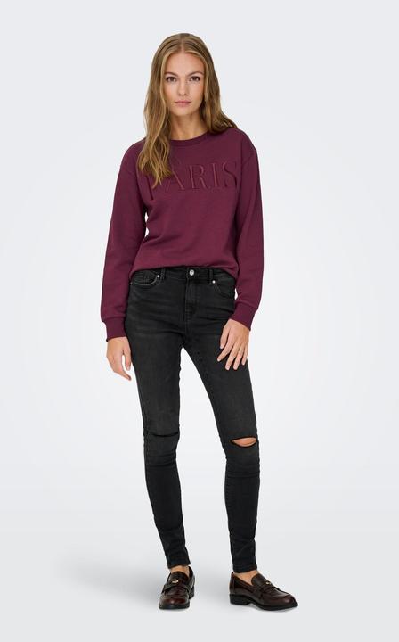 Produktbild JdY JDYPARIS Sweatshirt Sweatshirt (L)