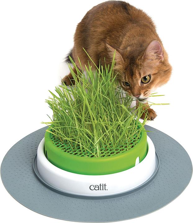 Immagine prodotto Catit Sensi 2.0 Fioriera per erba (Adulto, 1 pz., 73 g)