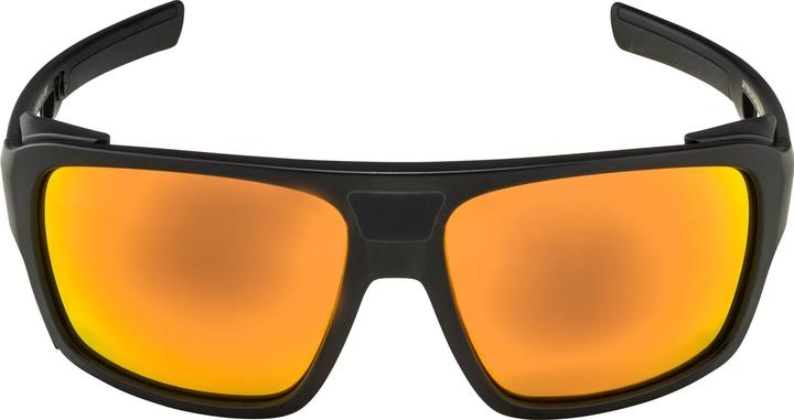 Produktbild Alpina Skywalsh