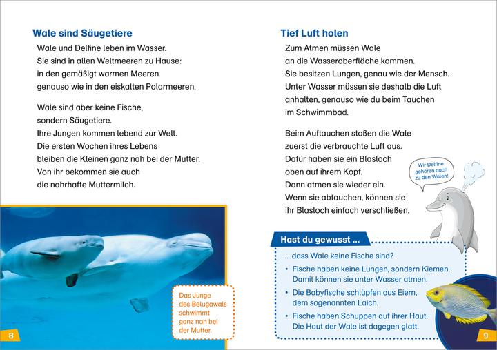 Produktbild Tessloff WAS IST WAS Erstes Lesen, Band 1: Wale und Delfine (Deutsch, Christina Braun, 2018)