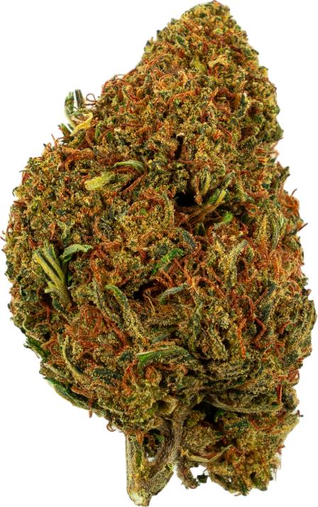 Produktbild Green Passion Alpina Green (10 g, Outdoor)