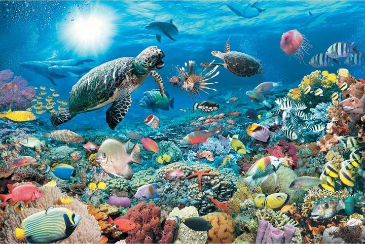 Immagine prodotto Ravensburger La vita nella barriera corallina (5000 pezzi)