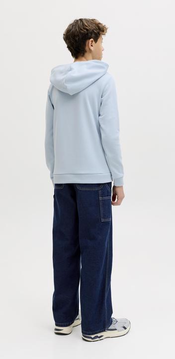 Produktbild Jack & Jones Jjebradley Sweat Hood Noos Jnr (152)