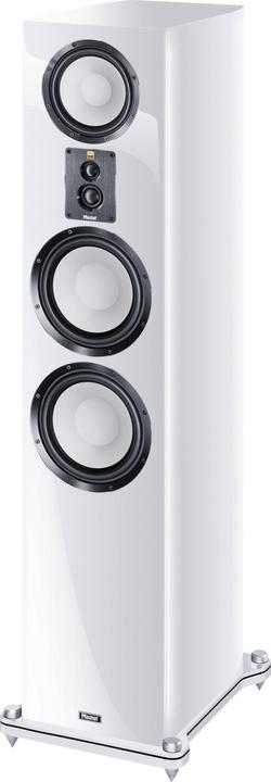 Actual product image Magnat Signature 909 (1 pcs., 500 W)