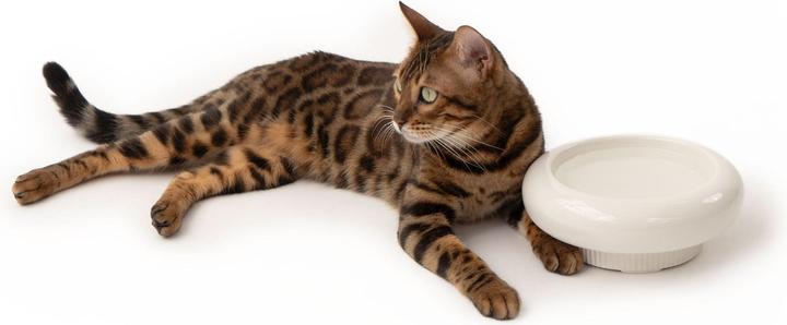Image du produit LucyBalu MYCO Katzennapf