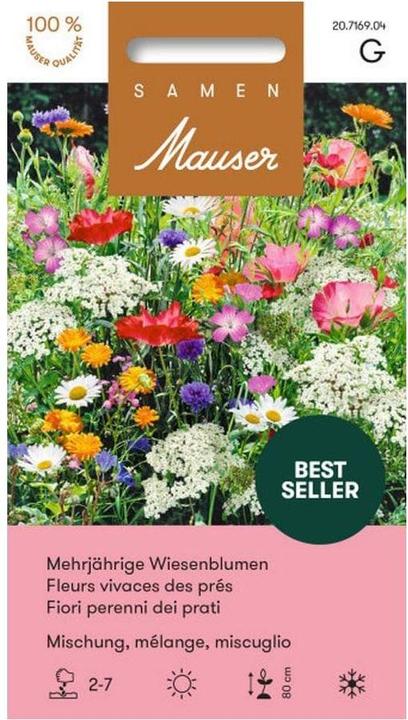 Samen Mauser Wiesenblumen Mischung (Rasensamen)