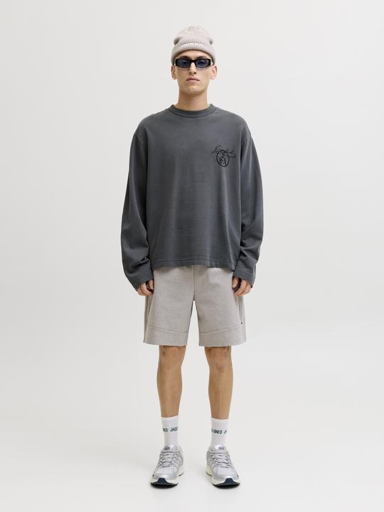 Image du produit Jack & Jones Jpstgordon Base Sweat Shorts Srt Sn (M)