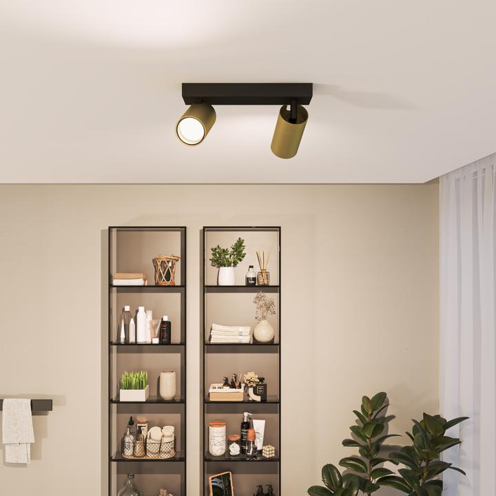 Actual product image Philips Idris (GU10)