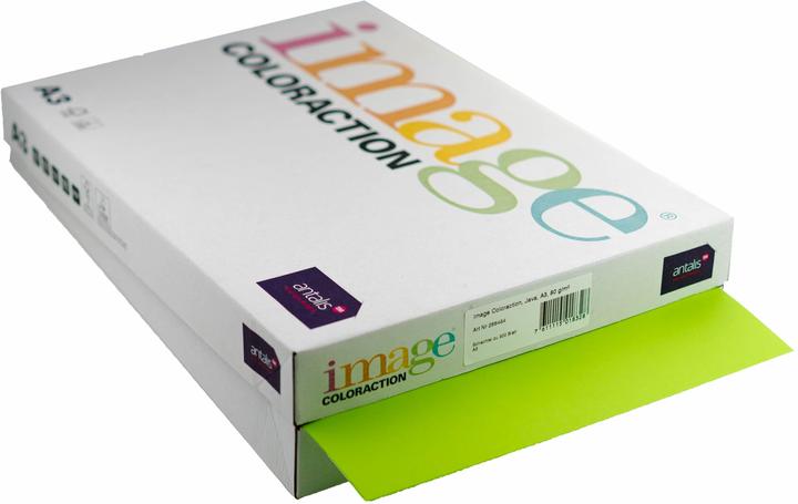Actual product image Antalis Copy paper Image Coloraction A3, May green, 500 sheets (80 g/m², 500 x, A3)