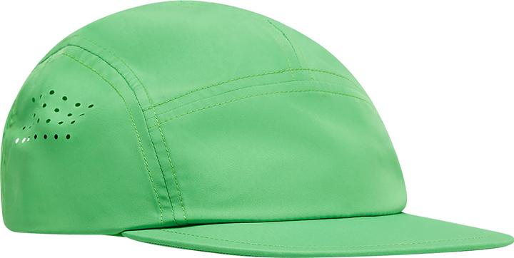 Menthe poivrée