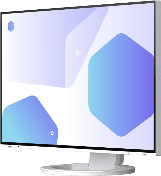 Immagine prodotto Eizo FlexScan EV2485 (1920 x 1200 pixel, 24.10")