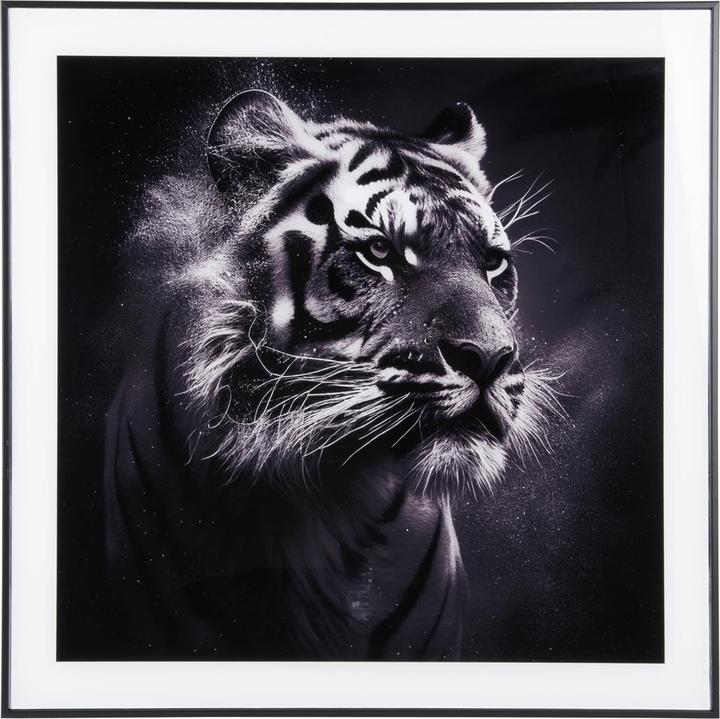 Actual product image present time Tiger