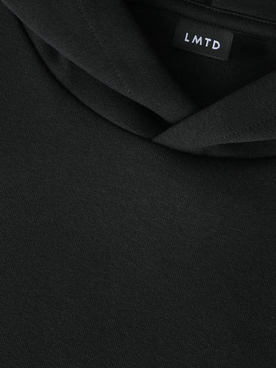 Produktbild Lmtd Regular Fit Hoodie (146, 152)