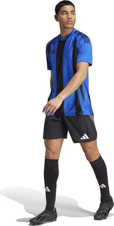 Productafbeelding adidas Koszulka męska Striped 24 Jersey niebiesko-granatowa IW2147 S (S)