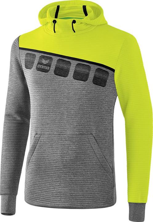 Actual product image Erima 5-C Hooded Sweat (140)