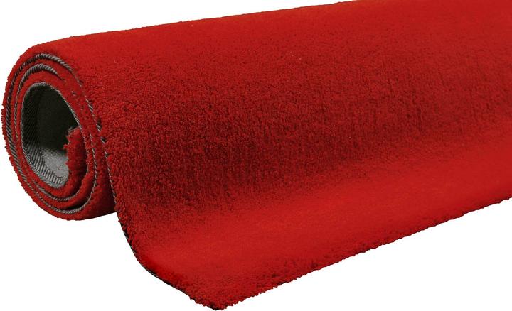 Actual product image Esprit Greenwood Rug (90 x 160 cm)