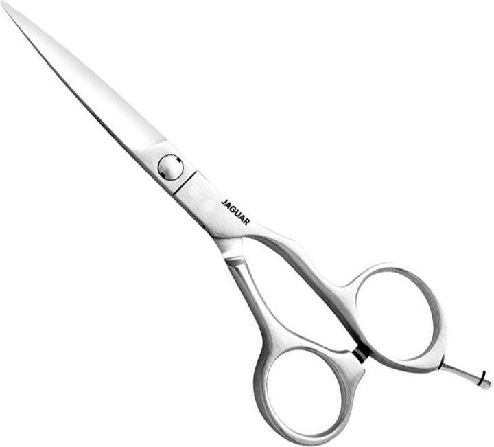 Produktbild Jaguar Vision (14.61 cm)