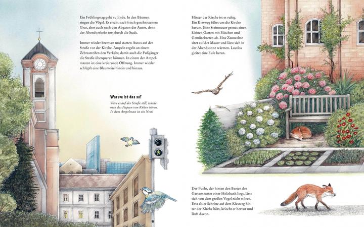 Immagine prodotto Wildtiere in der Stadt – Einem kleinen Fuchs auf der Spur (Tedesco, Susanne Riha, 2022)