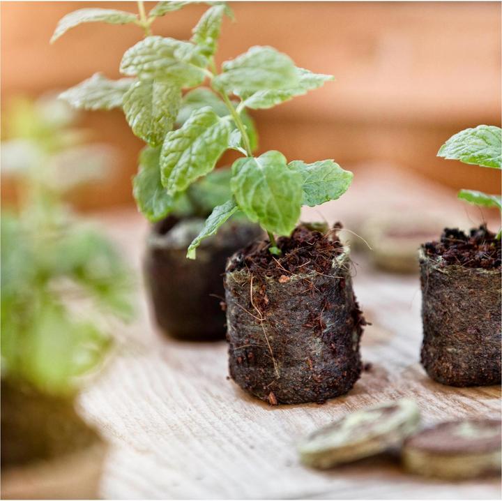 Produktbild Windhager Quell Tabs