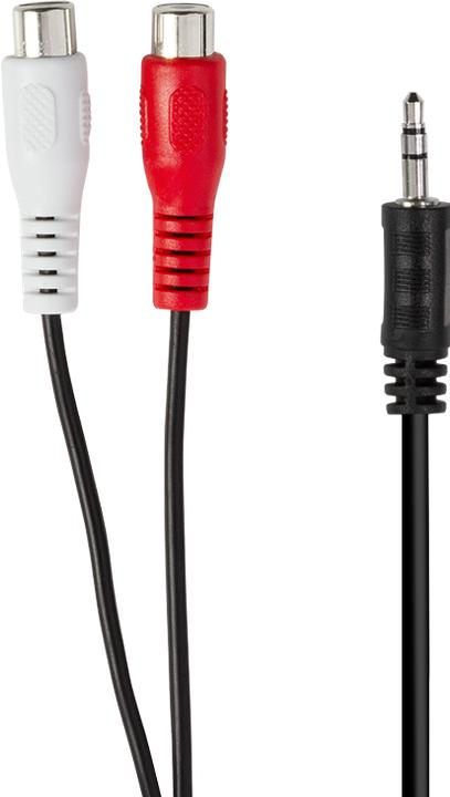 Actual product image LogiLink CA Connection cable (5 m, Cinch, 3.5mm jack (AUX))