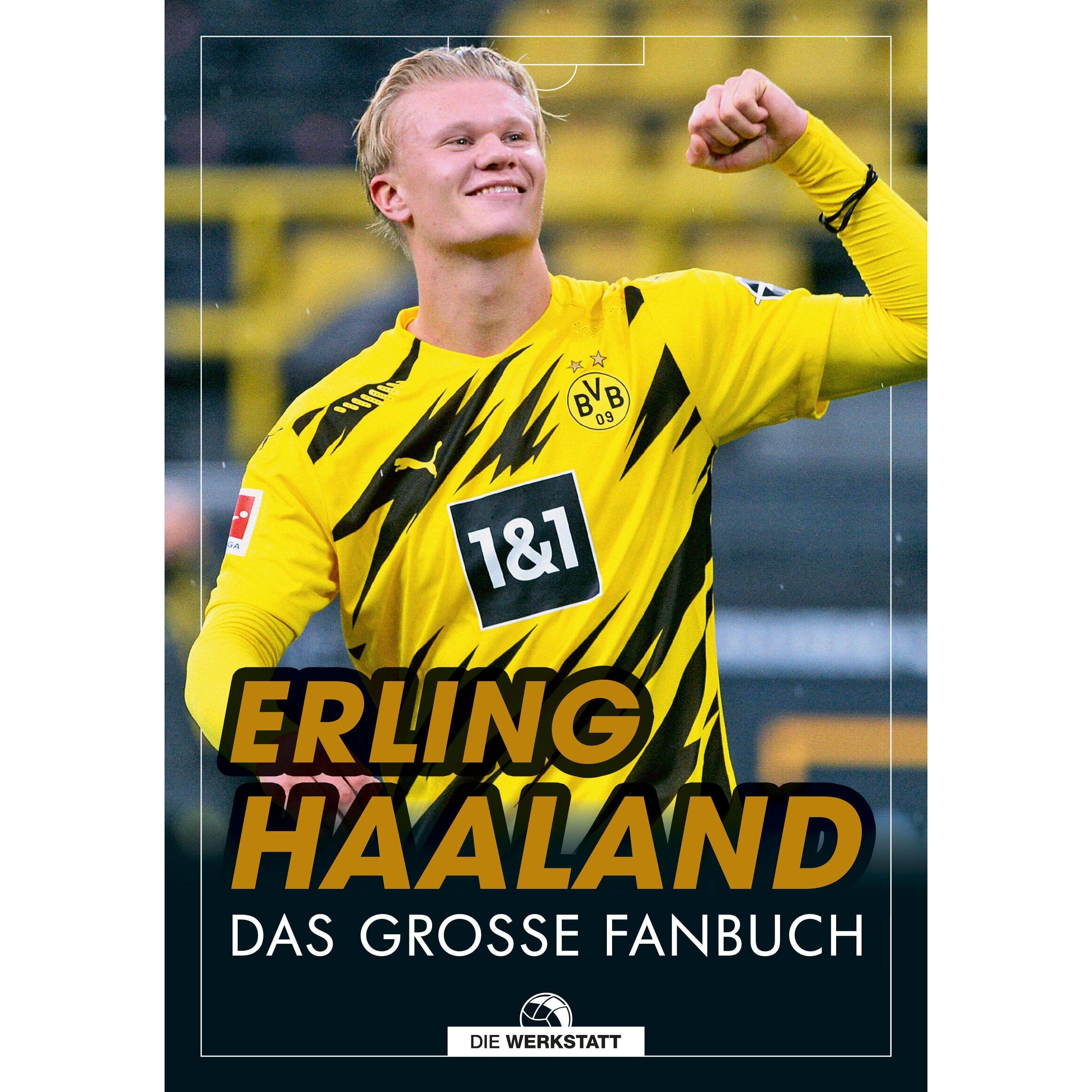 Erling Haaland, Ratgeber von Kerry Hau