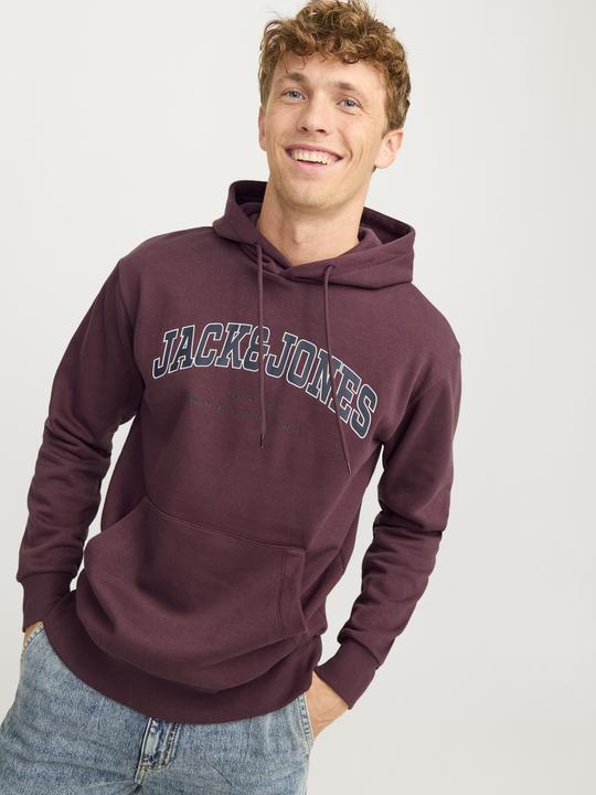 Actual product image Jack & Jones Jjecaleb Varsity Sweat Hood Noos (S)