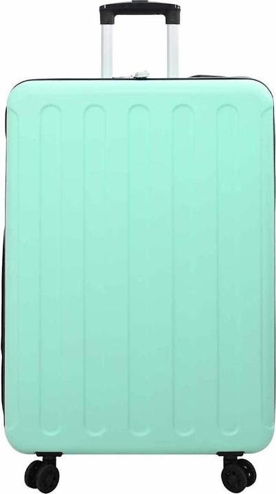 Actual product image VidaXL Mint green case