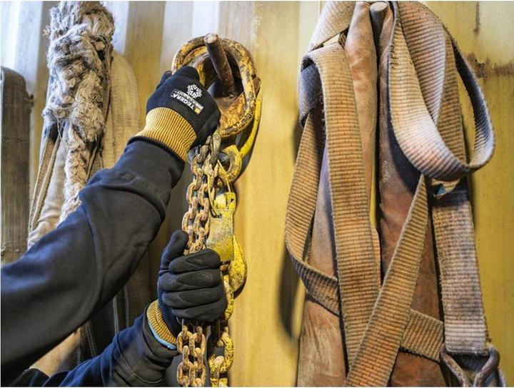 Immagine prodotto Tegera PK6 GUANTI IN NITRILE 8810-10 (10)