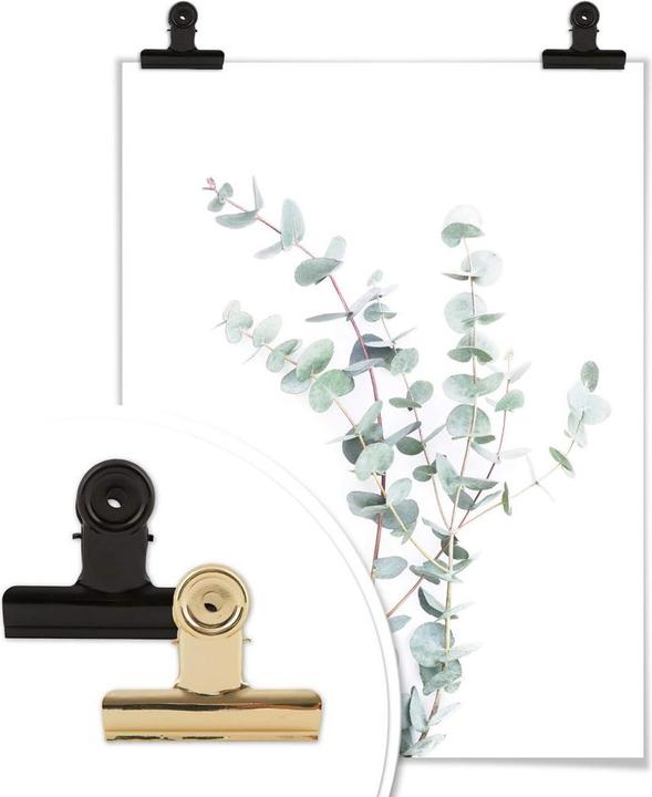 Produktbild Trenddeko Eukalyptuszweig (80 x 100 cm)