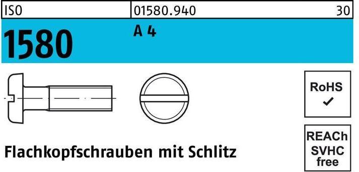 Actual product image ISO 1580 m.Schlitz (500 Screws per piece)