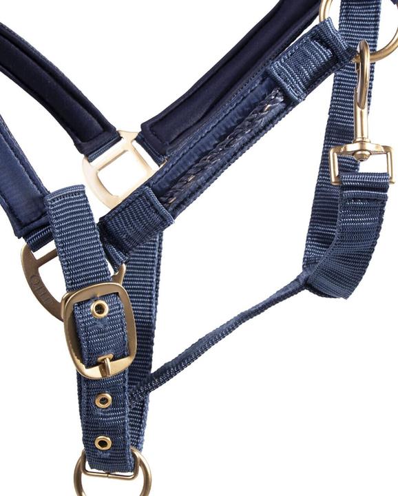 Immagine prodotto Qhp set di cavezza e corda per cavalli lily