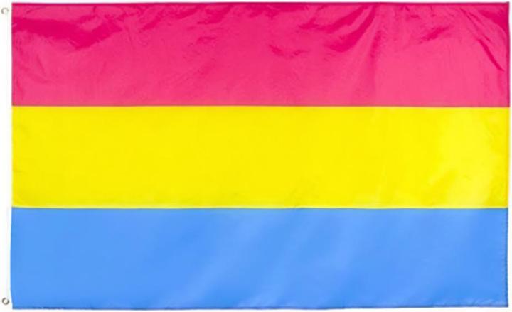 Actual product image Henbrandt Pansexual Polyester Flag