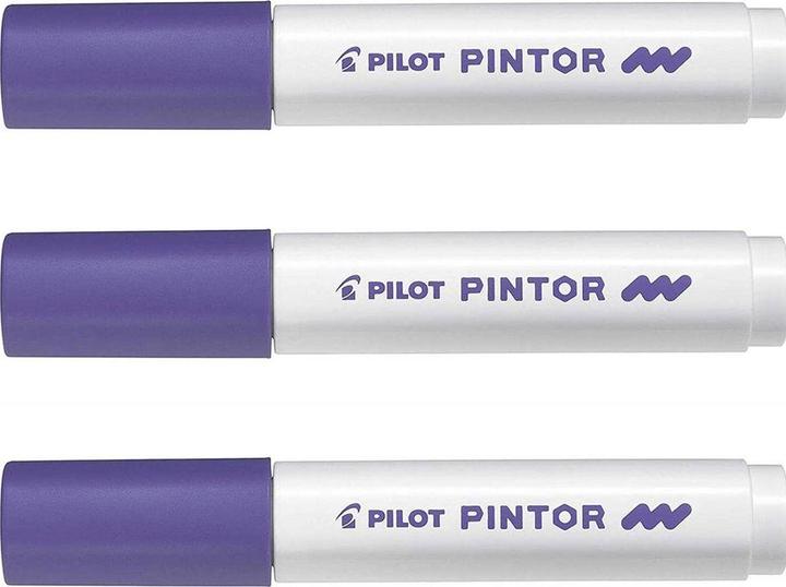 Actual product image Pilot Pintor Medium