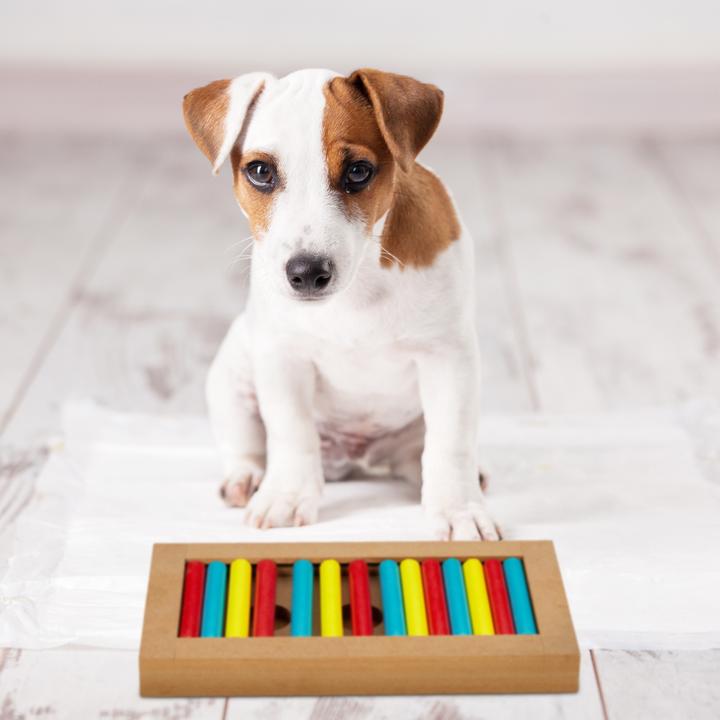 Image du produit Relaxdays Jouets intelligents pour chiens (Jouet intelligent chien)