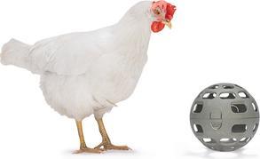 Actual product image Beeztees Chicken Snack Ball