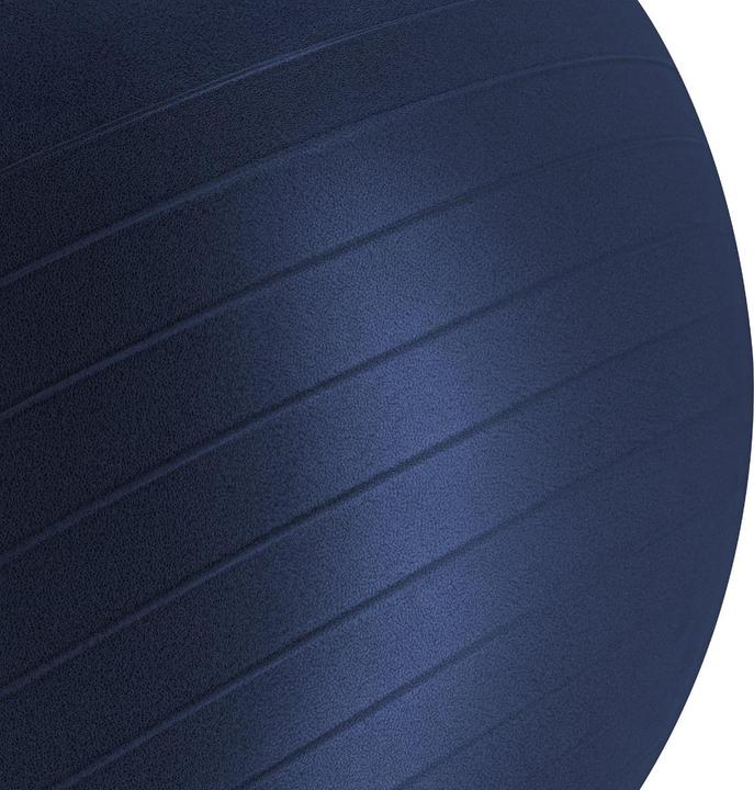 Image du produit Spokey Fitball (55 cm)