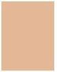 Actual product image Revlon ColorStay Pressed Powder (Light Medium)