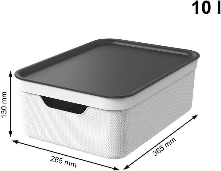 Image du produit Rotho Jive (36.5 x 26.5 x 13 cm, 10 l)