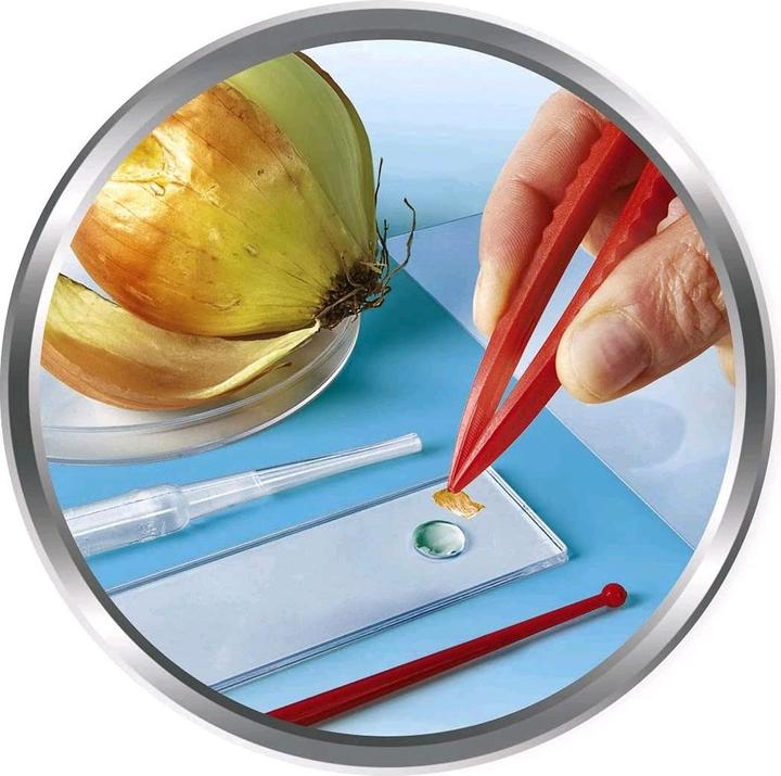 Actual product image Clementoni Nature under the microscope