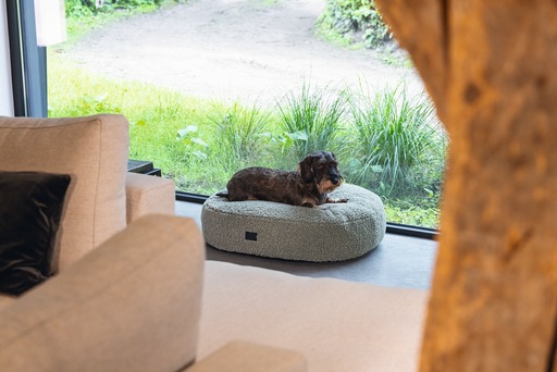 Productafbeelding Designed by Lotte Geribbeld (Hond)