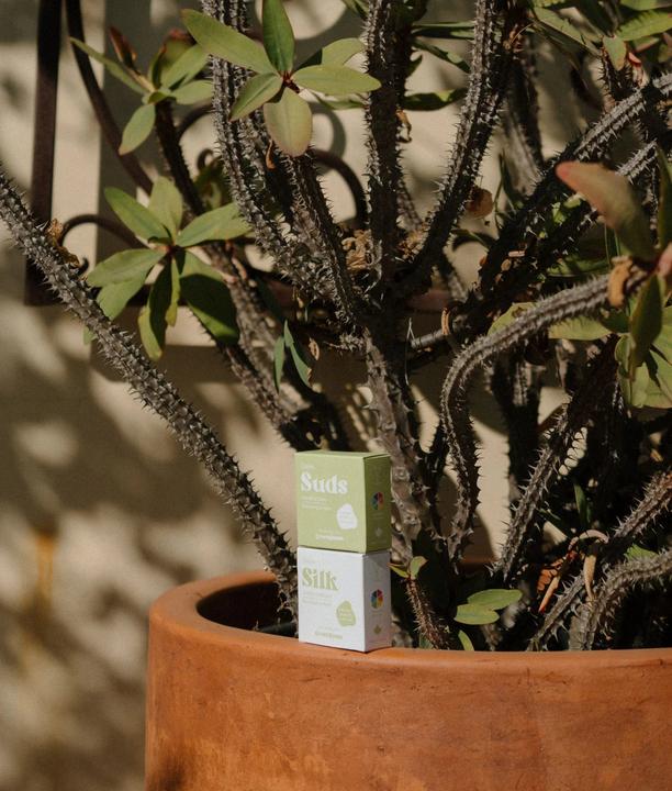 Actual product image Green Room Shampoo & Conditioner Set Color Correction Green (Solid shampoo)