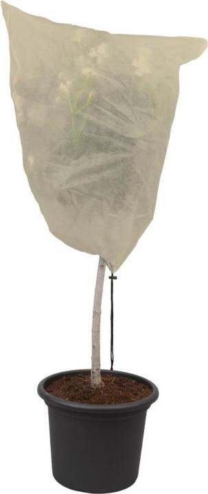 Image du produit Colibri Capuche d'hiver XL