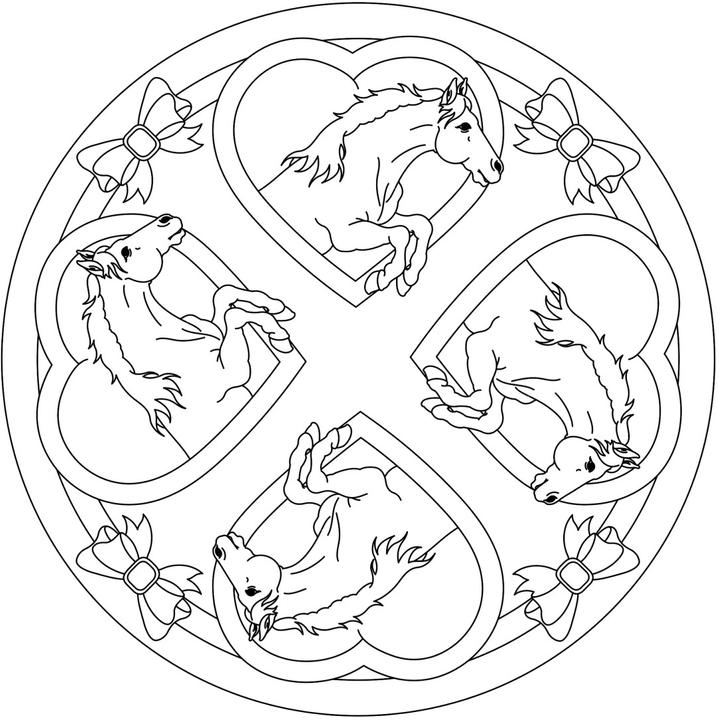 Produktbild Mein superdicker Pferdefreunde-Malblock