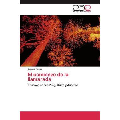 Thumbnail - El comienzo de la llamarada, Fachbücher