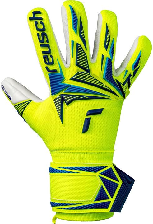 Actual product image Reusch Torwarthandschuh Attrakt Freegel Advance Junior 6 (6)