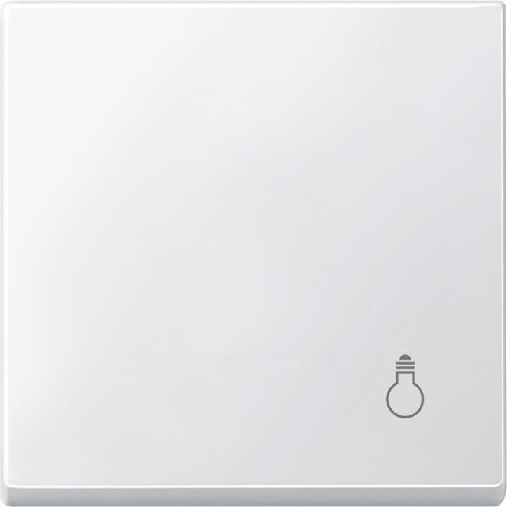 Produktbild Merten Wippe mit Kennzeichnung Licht, MEG3302-0419
