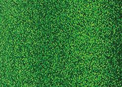 Image du produit Silhouette Paillettes Vinyle vert