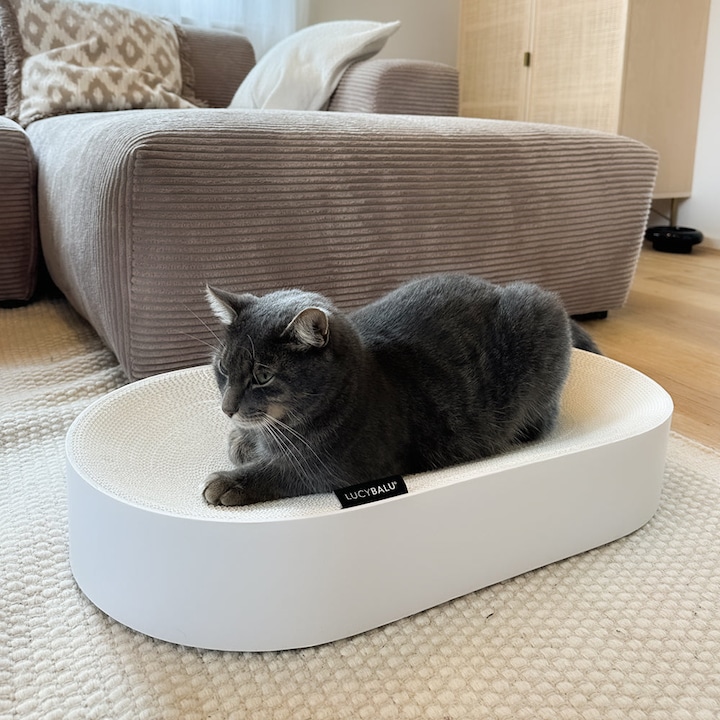 Produktbild LucyBalu SCRATCHBED Kartonbett (Katze)